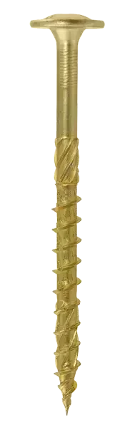 WKCP-06050 ŚRUBA Z ŁBEM PODKŁADKOWYM 6,0X50 mm