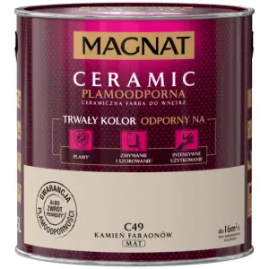 MAGNAT CERAMIC PAINT